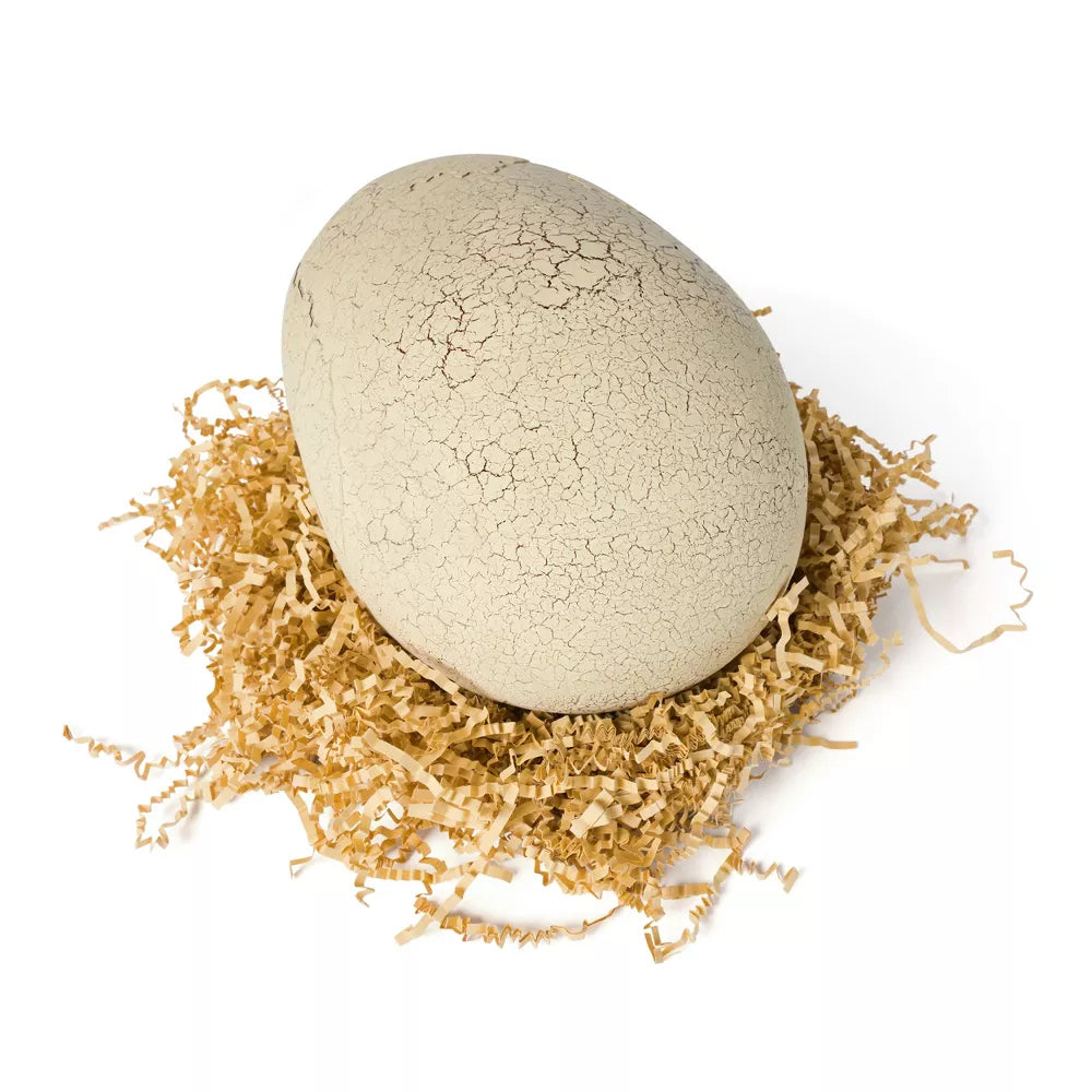 Dinossauro T-Rex Interativo – Mais de 100 Sons e Reações